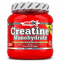 Amix Creatine Monohydrate 300g Amix Creatine Monohydrate 300g