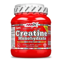 Amix Creatine Monohydrate 500g Amix Creatine Monohydrate 500g