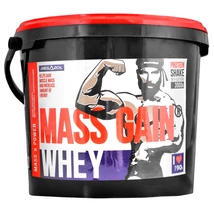 Megabol Whey Mass Gain 3000g vanília