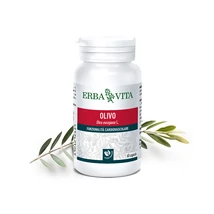 Natur Tanya® E. OLAJFALEVÉL NÖVÉNYI KAPSZULA - Oleuropein és brandelt, cikória gyökérből kivont inulin Natur Tanya® E. OLAJFALEVÉL NÖVÉNYI KAPSZULA - Oleuropein és brandelt, cikória gyökérből kivont inulin