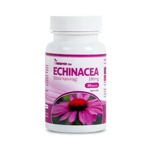 Netamin Echinacea 380 mg kapszula (Bíbor Kasvirág) 30x
