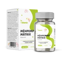 Netamin Méhpempő Mátrix kapszula + propolisz és fermentált ginzeng 60x