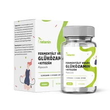 Netamin Fermentált Vegán Glükozamin + Kitozán kapszula 90x