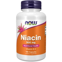 NOW Niacinamide B-3 500mg 100 kapszula