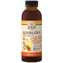 Kombucha koncentrátum Echinacea purpurea kivonattal és C-vitaminnal 0.5 l Kombucha koncentrátum Echinacea purpurea kivonattal és C-vitaminnal 0.5 l
