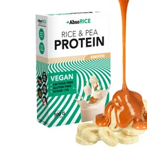 Absorice Protein 500g Banán