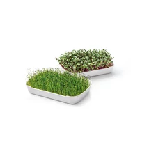 Tescoma 
 SENSE mikrozöldség-termesztő készlet  
