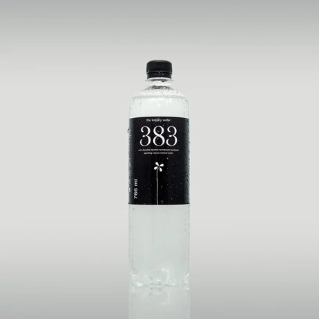 383 the kopjary water 766ml szénsavas