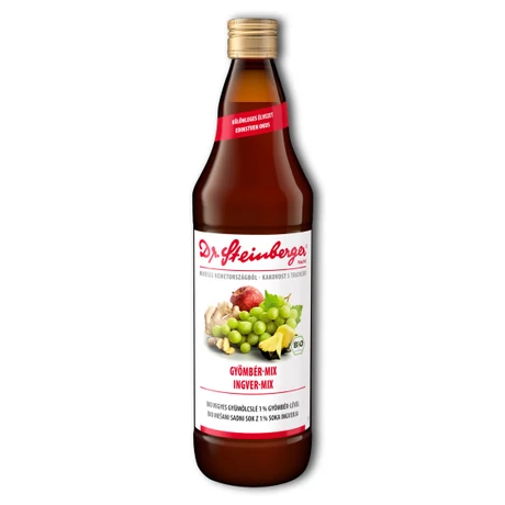 Dr.Steinberger Gyömbér-mix (bio) - 750 ml