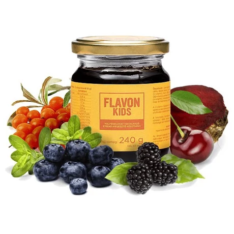 Flavon Kids 240g