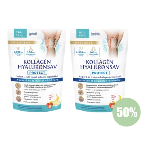 Interherb Kollagén&Hyaluronsav italpor PROTECT 2X290g