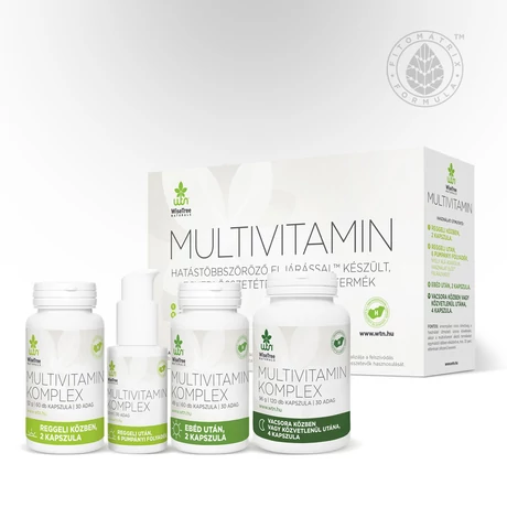 WTN Multivitamin komplex